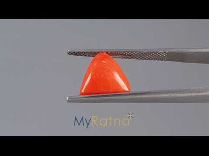 Red Coral (Moonga) - 4.07 Carats
