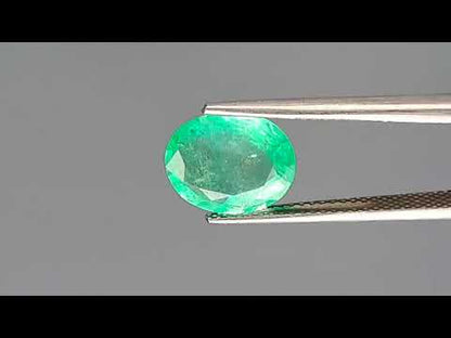 Emerald - 2.54 Carats (Panna - 2.77 Ratti)