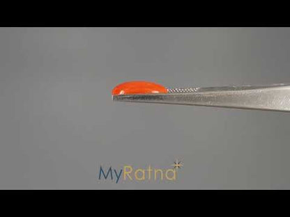 Red Coral (Moonga) - 4.40 Carats
