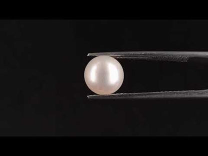 South Sea Pearl (Moti) - 3.29 Carats