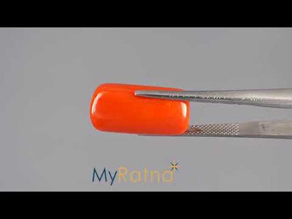 Red Coral (Moonga) - 16.44 Carats