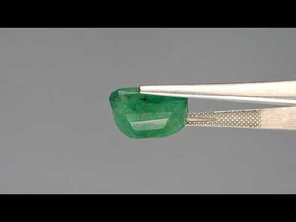 Emerald (Panna) - 9.88 Carats