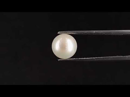 South Sea Pearl - 3.61 Carats (Moti - 3.93 Ratti)