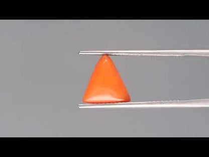 Red Coral (Moonga) - 2.97 Carats