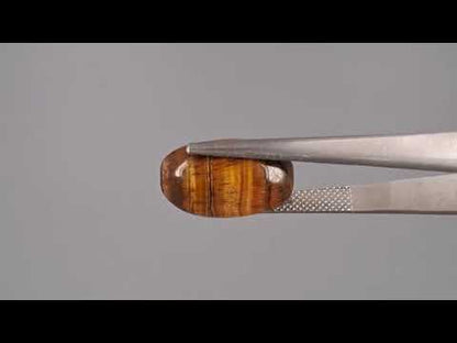Tiger Eye - 9.91 Carats
