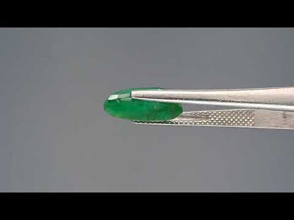 Emerald (Panna) - 4.22 Carats