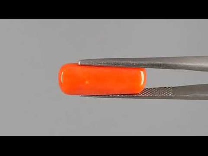 Red Coral (Moonga) - 8.06 Carats