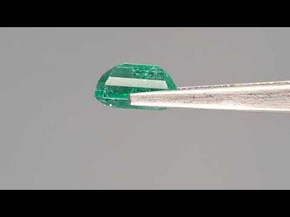 Emerald (Panna) - 4.02 Carats