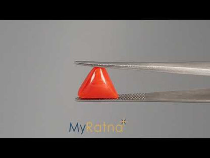 Red Coral (Moonga) - 4.56 Carats