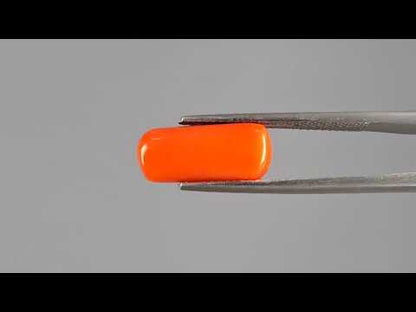 Red Coral (Moonga) - 4.72 Carats