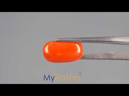 Red Coral - 15.89 Carats (Moonga - 17.32 Ratti)