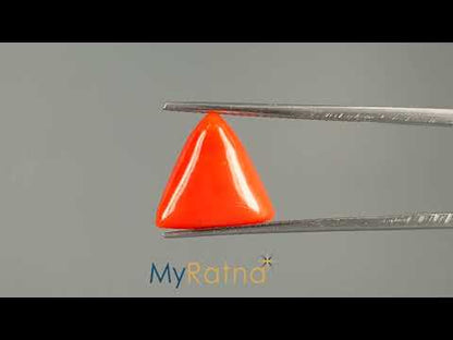 Red Coral (Moonga) - 5.29 Carats