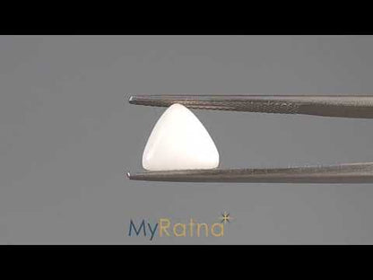 White Coral - 2.77 Carats