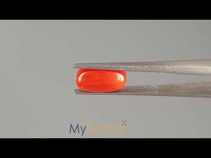 Red Coral (Moonga) - 4.07 Carats