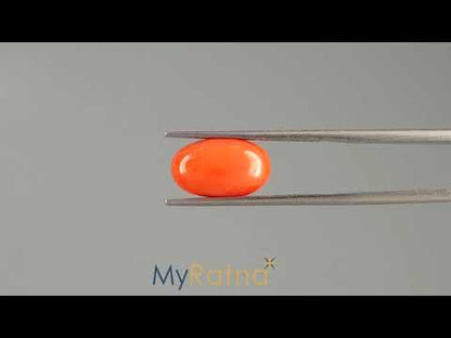 Red Coral (Moonga) - 5.22 Carats