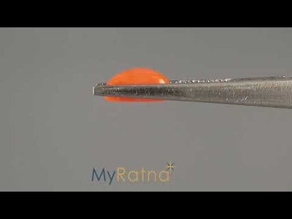 Red Coral (Moonga) - 3.11 Carats