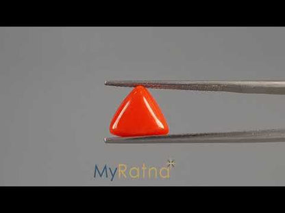 Red Coral (Moonga) - 3.48 Carats