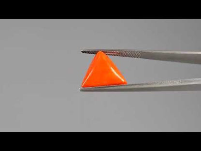 Red Coral (Moonga) - 8.12 Carats