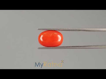 Red Coral - 5.45 Carats (Moonga - 5.94 Ratti)