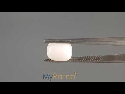 White Coral - 3.13 Carats