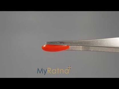 Red Coral (Moonga) - 4.23 Carats