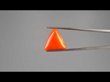 Red Coral (Moonga) - 8.58 Carats