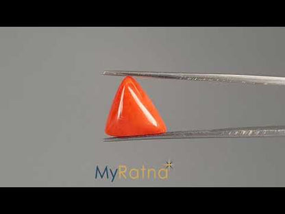 Red Coral (Moonga) - 5.72 Carats