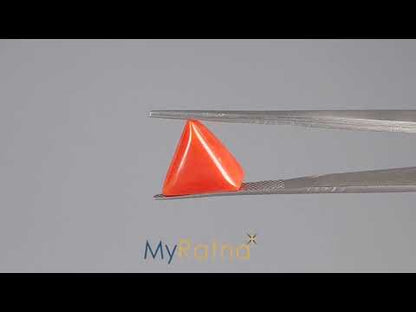 Red Coral (Moonga) - 6.83 Carats