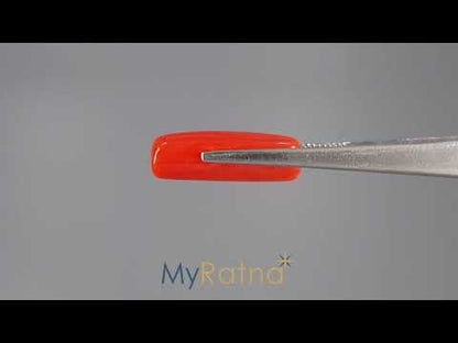 Red Coral (Moonga) - 9.65 Carats