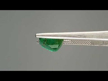 Emerald (Panna) - 3.81 Carats