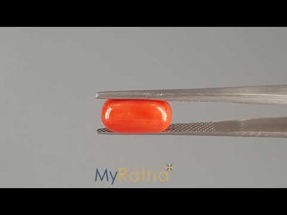 Red Coral (Moonga) - 4.11 Carats