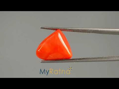 Red Coral - 13.14 Carats (Moonga - 14.32 Ratti)