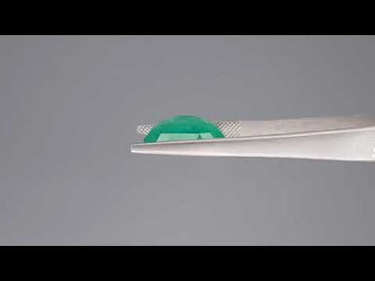 Emerald (Panna) - 9.97 Carats