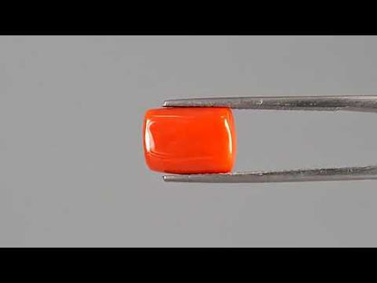 Red Coral (Moonga) - 4.97 Carats