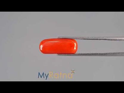 Red Coral - 7.38 Carats (Moonga - 8.04 Ratti)