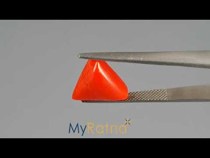 Red Coral - 6.48 Carats (Moonga - 7.06 Ratti)