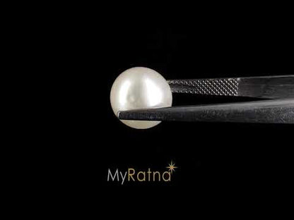 South Sea Pearl (Moti) - 7.99 Carats
