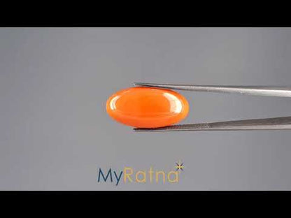 Red Coral - 9.97 Carats (Moonga - 10.87 Ratti)