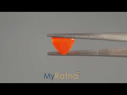 Red Coral (Moonga) - 3.39 Carats