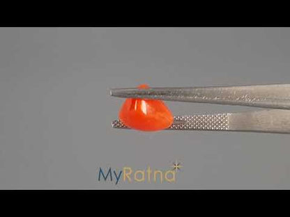 Red Coral (Moonga) - 3.82 Carats