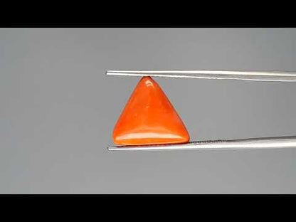 Red Coral - 7.42 Carats (Moonga - 8.09 Ratti)