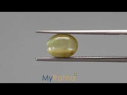 Cat's Eye - 2.54 Carats (Lahsuniya - 2.77 Ratti)