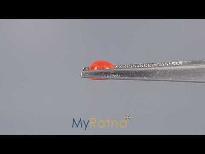 Red Coral (Moonga) - 1.54 Carats