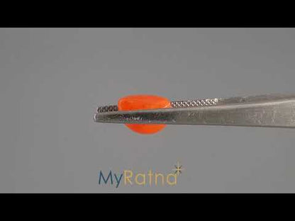 Red Coral (Moonga) - 3.50 Carats