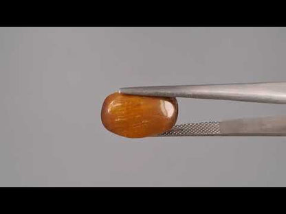 Tiger Eye - 7.95 Carats