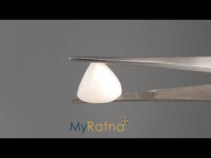White Coral - 10.97 Carats