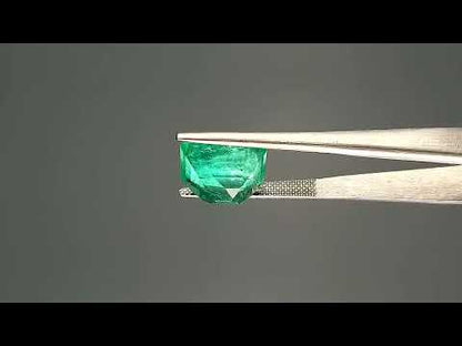 Emerald (Panna) - 7.64 Carats