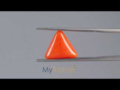 Red Coral (Moonga) - 3.98 Carats