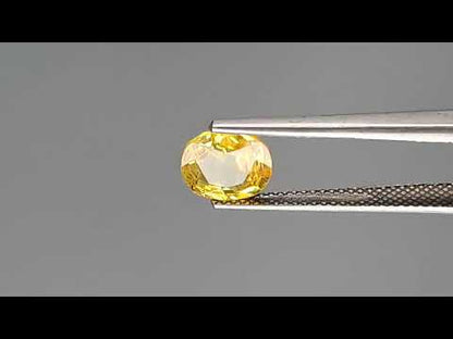 Yellow Sapphire - 1.87 Carats (Pukhraj - 2.04 Ratti)