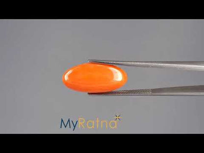 Red Coral - 6.94 Carats (Moonga - 7.56 Ratti)